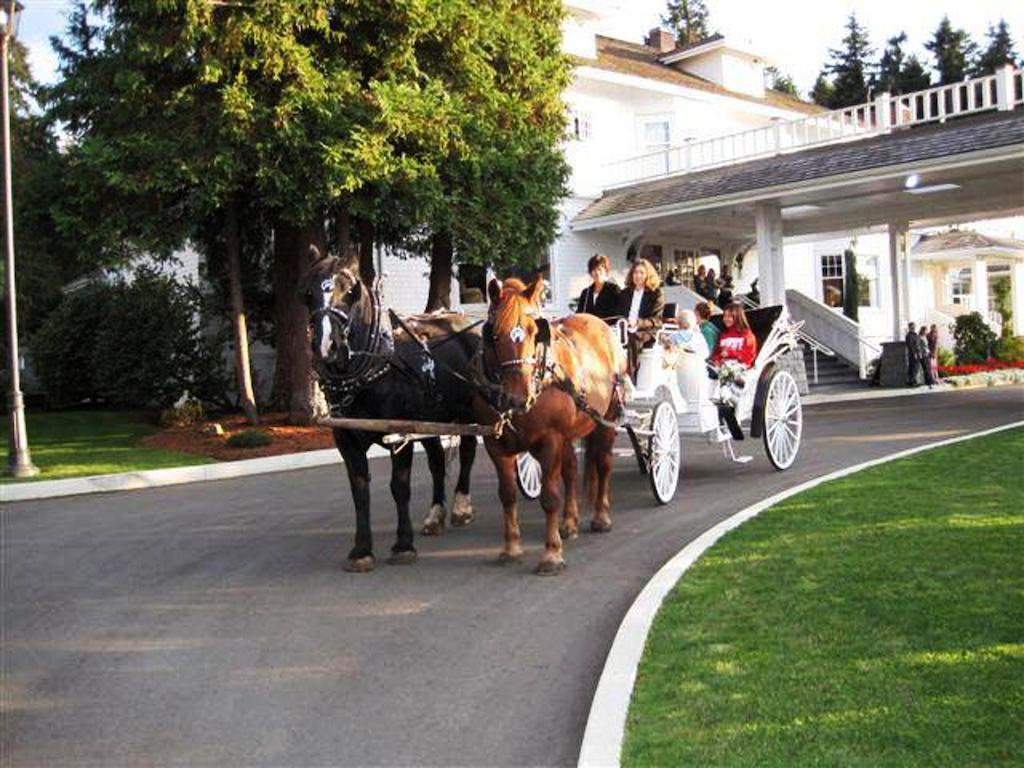 Crown Mansion Boutique Hotel & Villas Кваликум-Бич Экстерьер фото